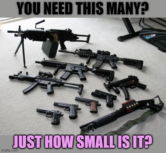 Compensating for Something? | YOU NEED THIS MANY? JUST HOW SMALL IS IT? | image tagged in guns,tough guy wanna be,tiny hands | made w/ Imgflip meme maker