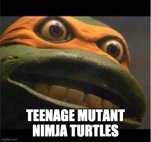 teen age mutant ninja turtle | TEENAGE MUTANT NIMJA TURTLES | image tagged in teen age mutant ninja turtle | made w/ Imgflip meme maker