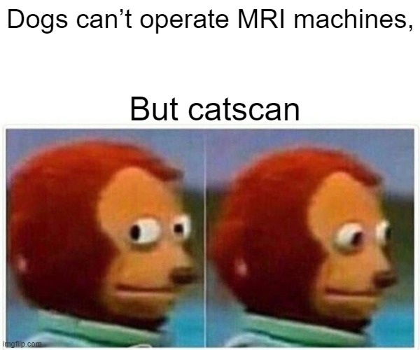 Monkey Puppet | Dogs can’t operate MRI machines, But catscan | image tagged in memes,monkey puppet | made w/ Imgflip meme maker