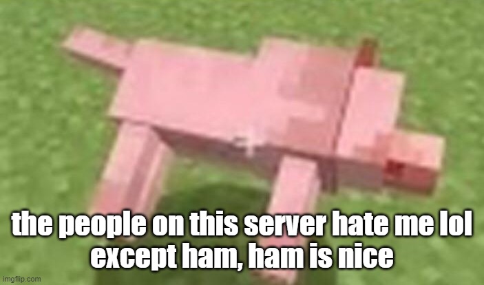 minecraft dog dying | the people on this server hate me lol
except ham, ham is nice | image tagged in minecraft dog dying | made w/ Imgflip meme maker