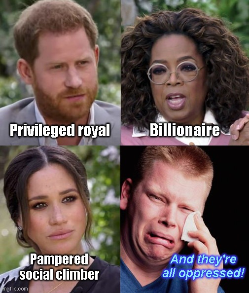 The Oppressed Privileged | Billionaire; Privileged royal; And they're all oppressed! Pampered social climber | image tagged in the privileged privileged,prince harry,meghan markle,oprah,victimhood mentality,whiners | made w/ Imgflip meme maker