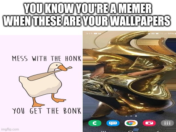 YOU KNOW YOU'RE A MEMER WHEN THESE ARE YOUR WALLPAPERS | image tagged in honk | made w/ Imgflip meme maker
