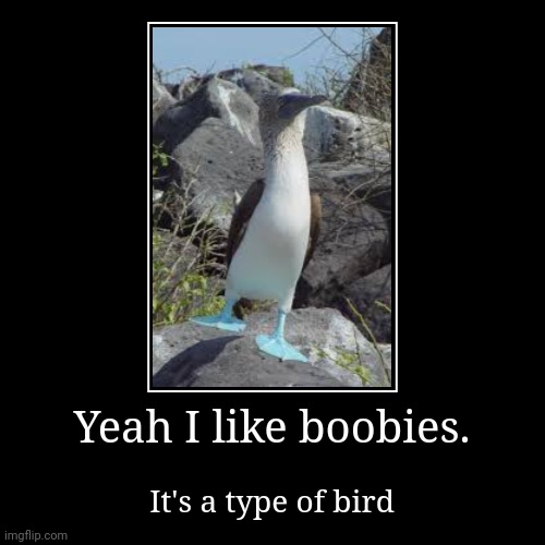 image tagged in funny,demotivationals | made w/ Imgflip demotivational maker