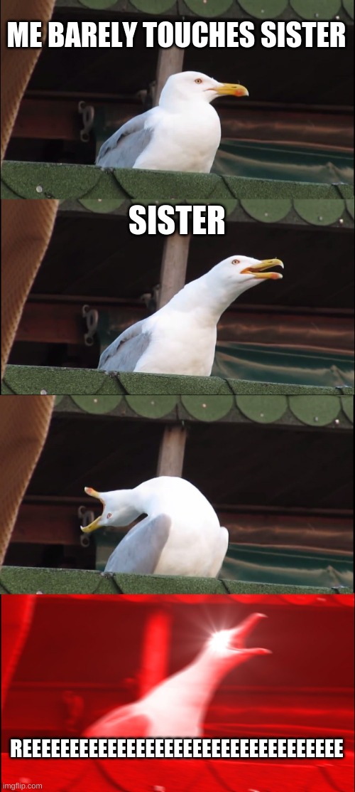 Inhaling Seagull | ME BARELY TOUCHES SISTER; SISTER; REEEEEEEEEEEEEEEEEEEEEEEEEEEEEEEEEE | image tagged in memes,inhaling seagull | made w/ Imgflip meme maker