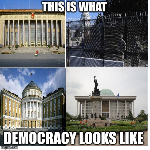 Oooops | THIS IS WHAT; DEMOCRACY LOOKS LIKE | image tagged in occupy democrats,socialism,government state | made w/ Imgflip meme maker