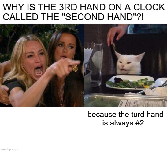 WHY IS THE 3RD HAND ON A CLOCK
CALLED THE "SECOND HAND"?! because the turd hand
       is always #2 | image tagged in memes,woman yelling at cat,blank white template,turd,clock,second | made w/ Imgflip meme maker