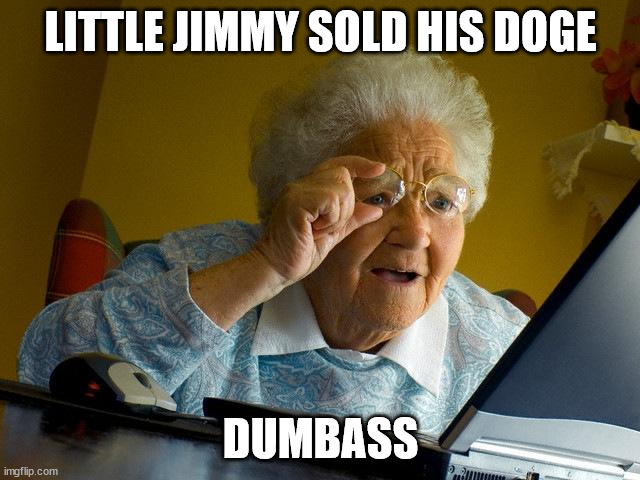 Jimmy and the Doge | LITTLE JIMMY SOLD HIS DOGE; DUMBASS | image tagged in memes,grandma finds the internet,doge,dogecoin | made w/ Imgflip meme maker