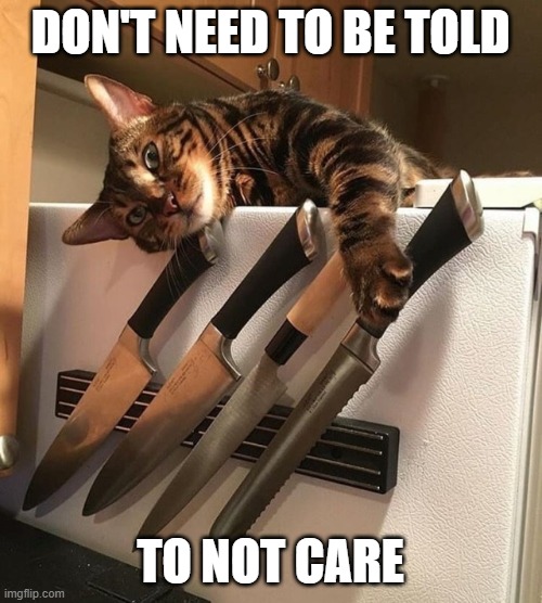 Cat with Knives | DON'T NEED TO BE TOLD; TO NOT CARE | image tagged in cat with knives | made w/ Imgflip meme maker