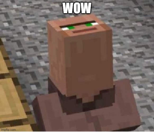 Minecraft Villager Looking Up | WOW | image tagged in minecraft villager looking up | made w/ Imgflip meme maker