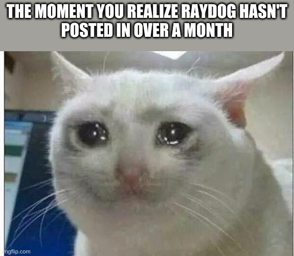 Where do he be atttt? | THE MOMENT YOU REALIZE RAYDOG HASN'T
POSTED IN OVER A MONTH | image tagged in crying cat | made w/ Imgflip meme maker