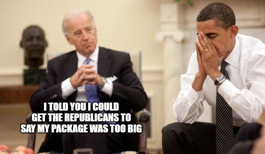 Biden Obama | I TOLD YOU I COULD GET THE REPUBLICANS TO SAY MY PACKAGE WAS TOO BIG | image tagged in biden obama | made w/ Imgflip meme maker