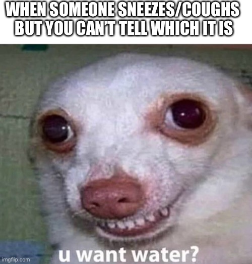 This happens all the time to me | WHEN SOMEONE SNEEZES/COUGHS 
BUT YOU CAN’T TELL WHICH IT IS | image tagged in u want water | made w/ Imgflip meme maker