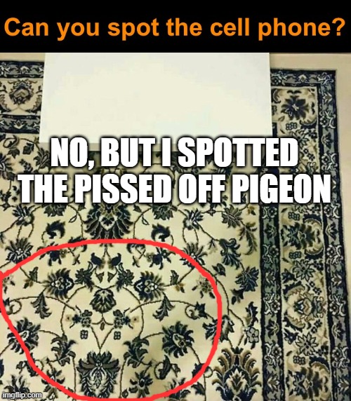 NO, BUT I SPOTTED THE PISSED OFF PIGEON | made w/ Imgflip meme maker