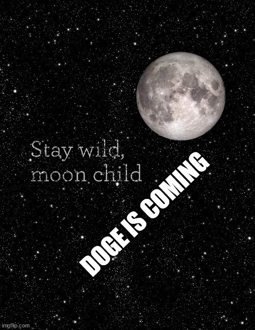 To The Moon | DOGE IS COMING | image tagged in dogecoin,hodl,tothemoon,doge | made w/ Imgflip meme maker