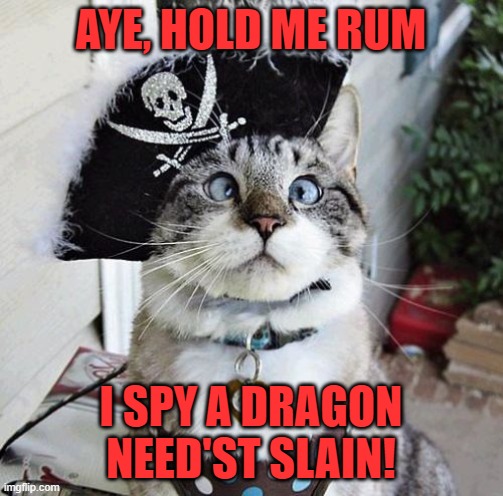 Spangles Meme | AYE, HOLD ME RUM I SPY A DRAGON NEED'ST SLAIN! | image tagged in memes,spangles | made w/ Imgflip meme maker