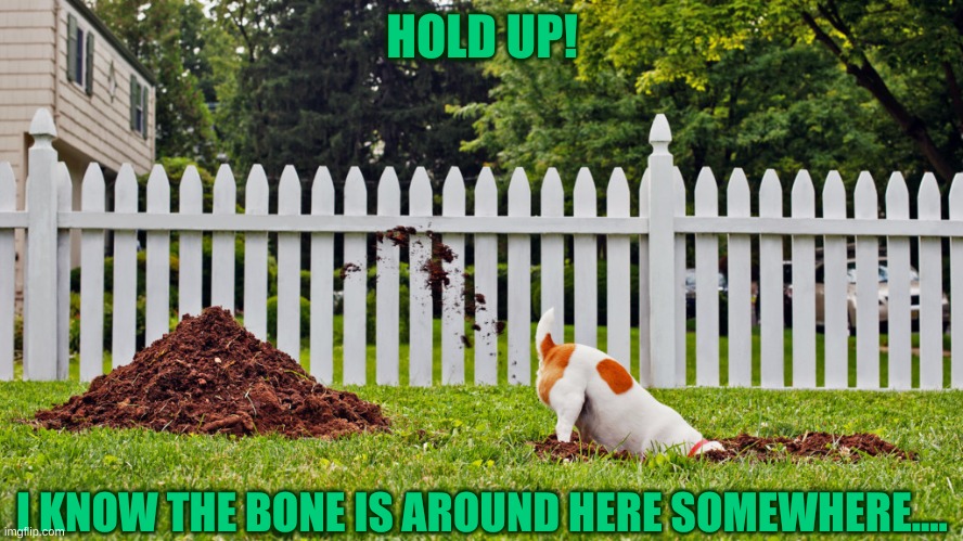 HOLD UP! I KNOW THE BONE IS AROUND HERE SOMEWHERE.... | image tagged in dogs,repost | made w/ Imgflip meme maker