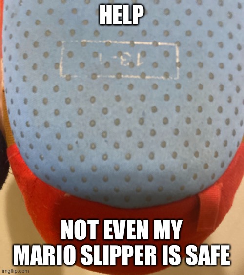 ITS EVERWHERE | HELP; NOT EVEN MY MARIO SLIPPER IS SAFE | made w/ Imgflip meme maker