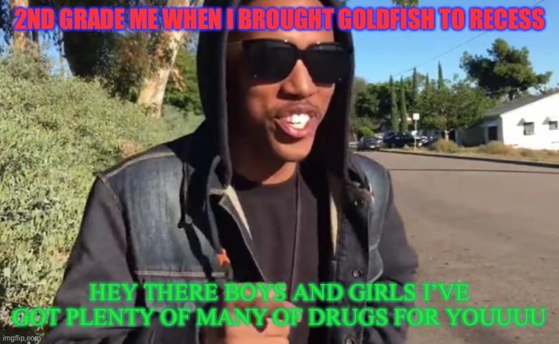 True story | 2ND GRADE ME WHEN I BROUGHT GOLDFISH TO RECESS; HEY THERE BOYS AND GIRLS I’VE GOT PLENTY OF MANY OF DRUGS FOR YOUUUU | made w/ Imgflip meme maker