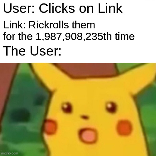 wow, that's uh... big burd | User: Clicks on Link; Link: Rickrolls them for the 1,987,908,235th time; The User: | image tagged in memes,surprised pikachu,funny | made w/ Imgflip meme maker