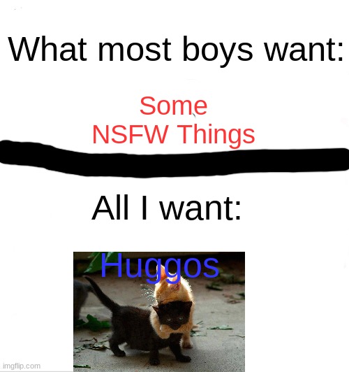 True dat | What most boys want:; Some NSFW Things; All I want:; Huggos | image tagged in memes | made w/ Imgflip meme maker
