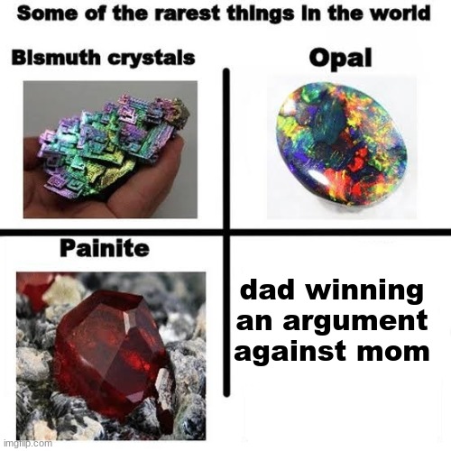 Some of the rarest things in the world | dad winning an argument against mom | image tagged in some of the rarest things in the world | made w/ Imgflip meme maker