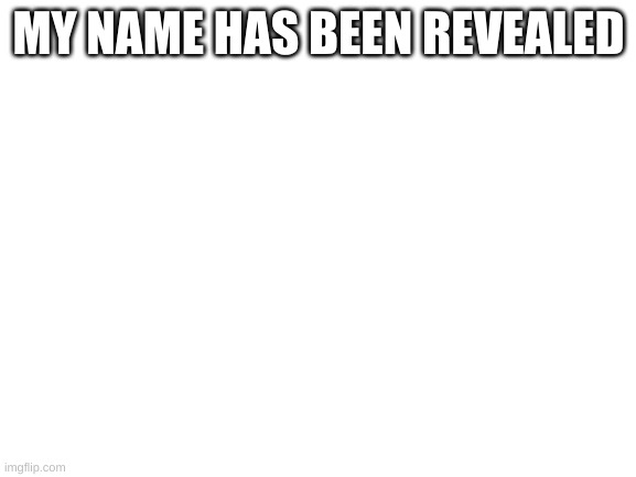 This is sanszilla btw | MY NAME HAS BEEN REVEALED | image tagged in blank white template | made w/ Imgflip meme maker
