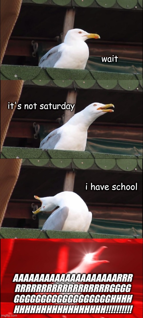 School. I hate it. | wait; it's not saturday; i have school; AAAAAAAAAAAAAAAAAAAARRR
RRRRRRRRRRRRRRRRRRGGGG
GGGGGGGGGGGGGGGGGGHHHH
HHHHHHHHHHHHHHHHH!!!!!!!!!! | image tagged in memes,inhaling seagull,school,i hate it | made w/ Imgflip meme maker