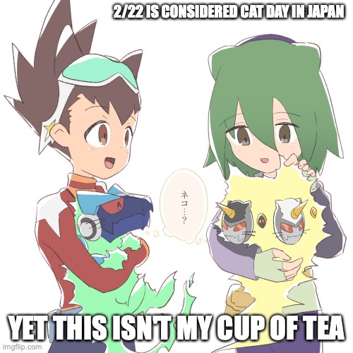 Cat Omega-Xis | 2/22 IS CONSIDERED CAT DAY IN JAPAN; YET THIS ISN'T MY CUP OF TEA | image tagged in cats,megaman,megaman star force,memes,geo stelar | made w/ Imgflip meme maker