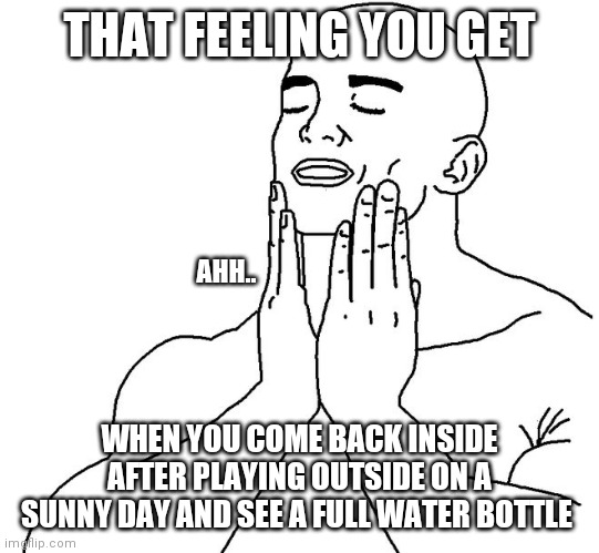 Most satisfying feeling EVER | THAT FEELING YOU GET; AHH.. WHEN YOU COME BACK INSIDE AFTER PLAYING OUTSIDE ON A SUNNY DAY AND SEE A FULL WATER BOTTLE | image tagged in satisfaction,water,noice | made w/ Imgflip meme maker