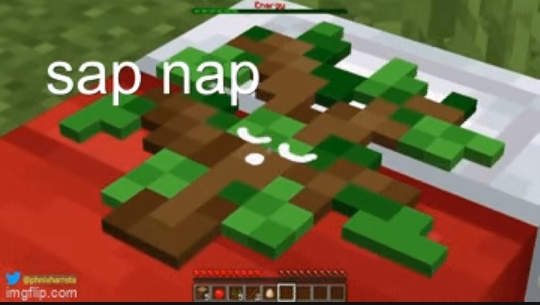 High Quality sap nap Blank Meme Template
