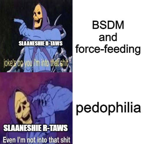 Sure, Slaaneshie R-taws is a pleasure driven lunatic. But even he has limits | BSDM and force-feeding; SLAANESHIE R-TAWS; pedophilia; SLAANESHIE R-TAWS | image tagged in skeletor drake template | made w/ Imgflip meme maker