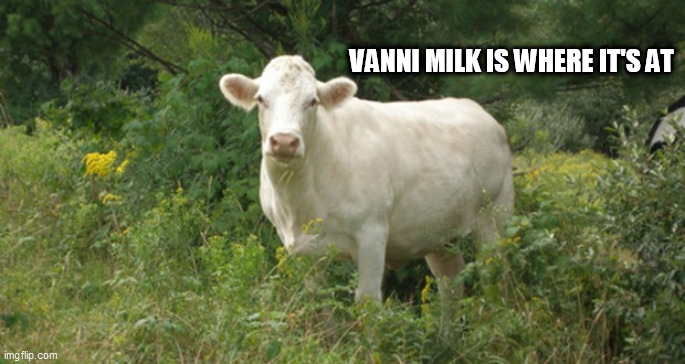 Vanni milk | VANNI MILK IS WHERE IT'S AT | image tagged in vanni milk | made w/ Imgflip meme maker