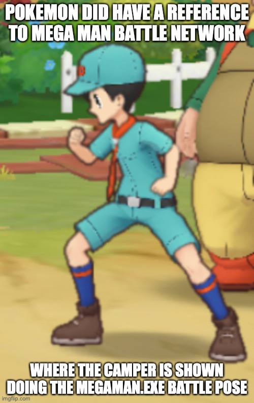 Mega Man Battle Network Reference in Pokemon | POKEMON DID HAVE A REFERENCE TO MEGA MAN BATTLE NETWORK; WHERE THE CAMPER IS SHOWN DOING THE MEGAMAN.EXE BATTLE POSE | image tagged in megaman,megaman battle network,pokemon,memes,gaming | made w/ Imgflip meme maker