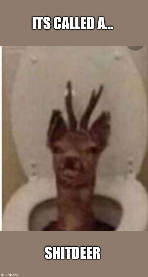 Hey who shitted a deer (idk if theres a cursed images stream) | ITS CALLED A... SHITDEER | image tagged in deertoilet | made w/ Imgflip meme maker