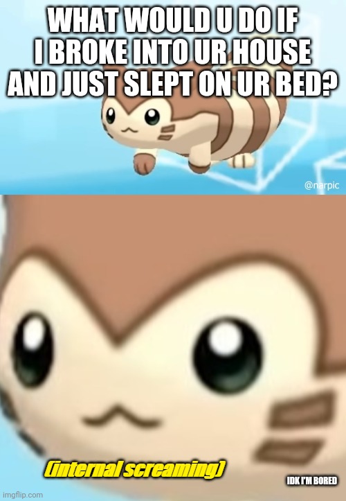 Furret scream | WHAT WOULD U DO IF I BROKE INTO UR HOUSE AND JUST SLEPT ON UR BED? IDK I'M BORED | image tagged in furret scream | made w/ Imgflip meme maker