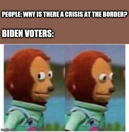 Well... | PEOPLE: WHY IS THERE A CRISIS AT THE BORDER? BIDEN VOTERS: | image tagged in side eye teddy,illegal immigration,border wall,joe biden | made w/ Imgflip meme maker