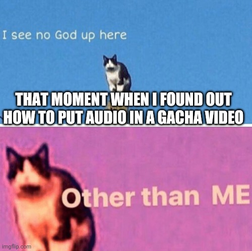 You have to do is hide the video | THAT MOMENT WHEN I FOUND OUT HOW TO PUT AUDIO IN A GACHA VIDEO | image tagged in hail pole cat | made w/ Imgflip meme maker