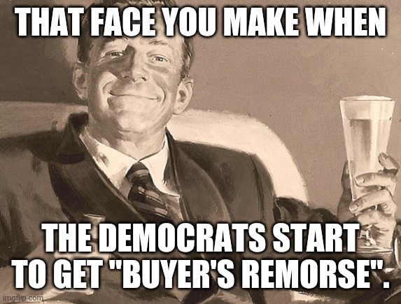 Man with a Pipe and a Pilsner Glass of Beer | THAT FACE YOU MAKE WHEN; THE DEMOCRATS START TO GET "BUYER'S REMORSE". | image tagged in man with a pipe and a pilsner glass of beer | made w/ Imgflip meme maker
