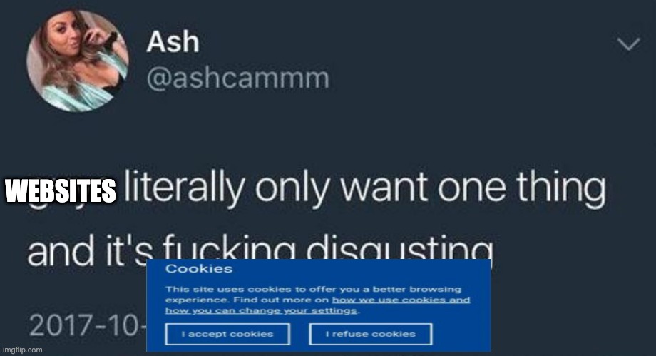 Guys literally only want one thing and it's fucking disgusting | WEBSITES | image tagged in guys literally only want one thing and it's fucking disgusting,memes | made w/ Imgflip meme maker