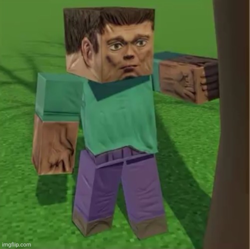 cursed minecraft image | image tagged in cursed image,minecraft,gaming | made w/ Imgflip meme maker