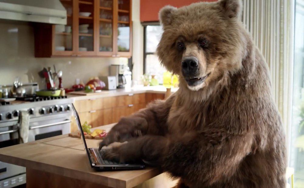 Laptop bear Blank Meme Template