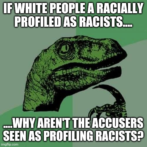 Philosoraptor | IF WHITE PEOPLE A RACIALLY PROFILED AS RACISTS.... ....WHY AREN'T THE ACCUSERS SEEN AS PROFILING RACISTS? | image tagged in memes,philosoraptor | made w/ Imgflip meme maker