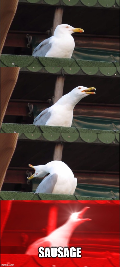 a simple meme | SAUSAGE | image tagged in memes,inhaling seagull | made w/ Imgflip meme maker