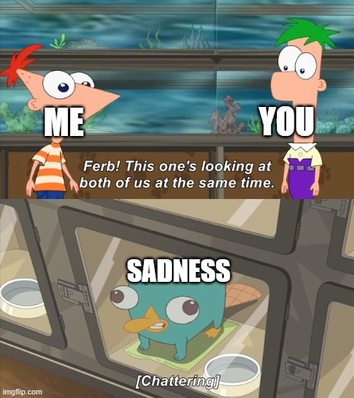 phineas and ferb | ME YOU SADNESS | image tagged in phineas and ferb | made w/ Imgflip meme maker