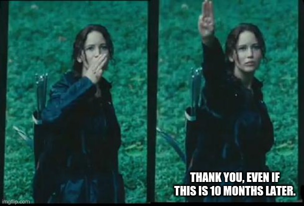 Katniss Respect | THANK YOU, EVEN IF THIS IS 10 MONTHS LATER. | image tagged in katniss respect | made w/ Imgflip meme maker