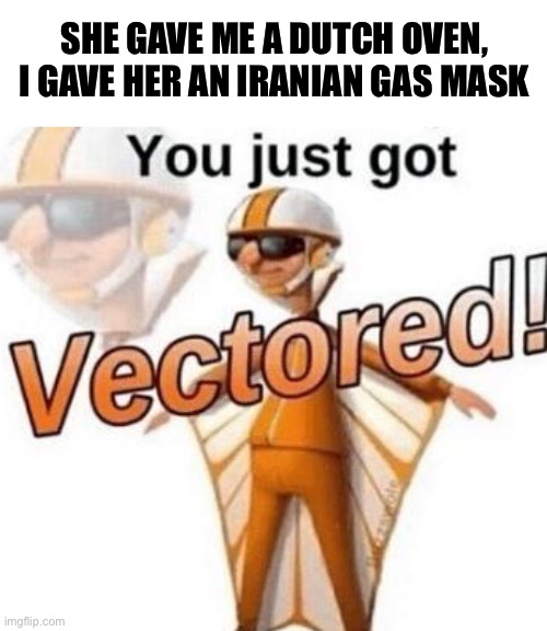 You just got vectored | SHE GAVE ME A DUTCH OVEN, I GAVE HER AN IRANIAN GAS MASK | image tagged in you just got vectored | made w/ Imgflip meme maker