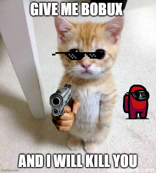 A cat need bobux |  GIVE ME BOBUX; AND I WILL KILL YOU | image tagged in memes,cute cat | made w/ Imgflip meme maker