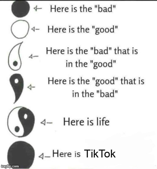 Here is TikTok | TikTok | image tagged in here is life,tiktok,life,bad,good | made w/ Imgflip meme maker