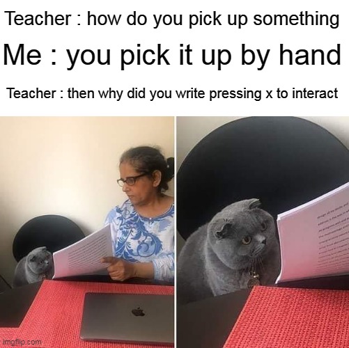 true gamer | Teacher : how do you pick up something; Me : you pick it up by hand; Teacher : then why did you write pressing x to interact | image tagged in woman showing paper to cat,memes,funny,gamer,newtagthatimade | made w/ Imgflip meme maker