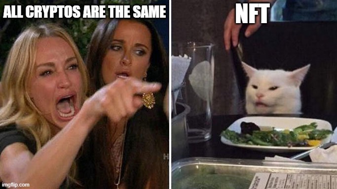 NFT meme | NFT; ALL CRYPTOS ARE THE SAME | image tagged in two women yelling at a cat,cat,crypto | made w/ Imgflip meme maker